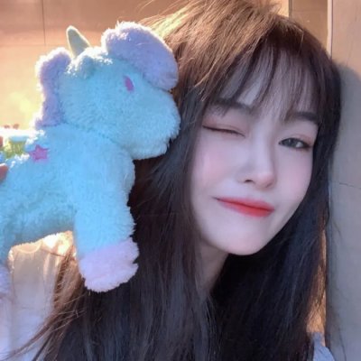 穿越时空的骑士